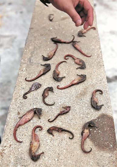 ����px��Ŀ��ը ��������