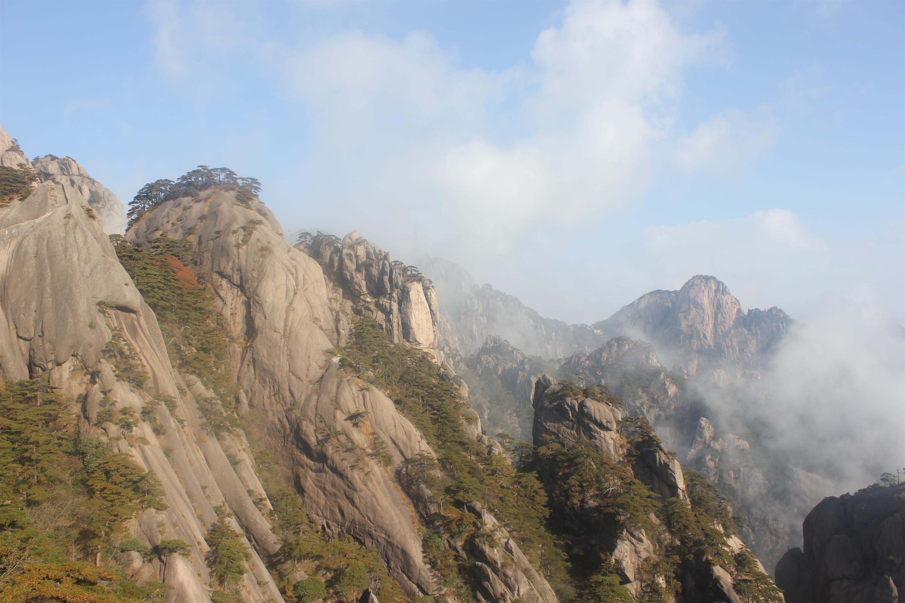 ��24�գ��Ϻ���Ϊ��֯Ա�����Ϊ��2����ݼ����Ρ�