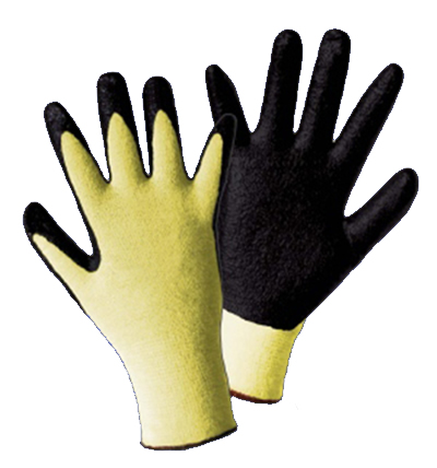 ����ݶ�������