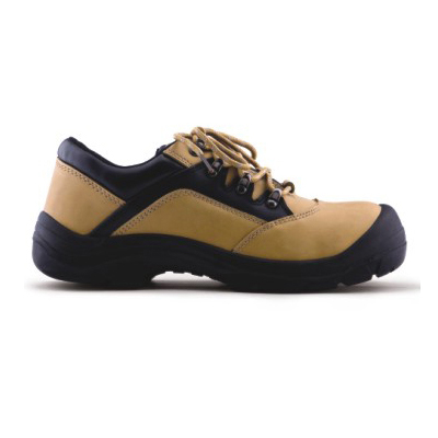 ����HY0814 �ͰﰲȫЬ