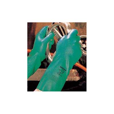 ���Aegle 60600703 �͸�������