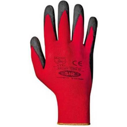 SIR˼����11996 Reddy��������