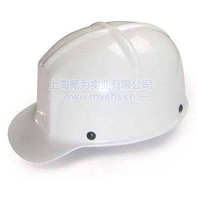 ���Aegle 60102803-W ABSʮ���Ͱ�ȫñ